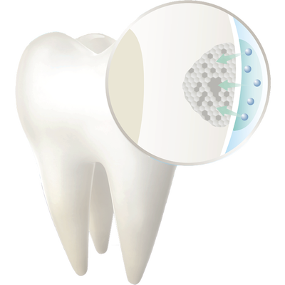 The formulation diffuses throughout the enamel.