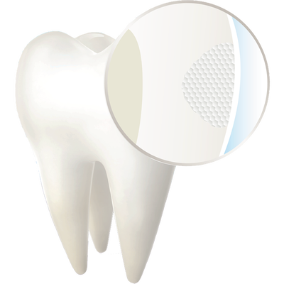 natural tooth structure